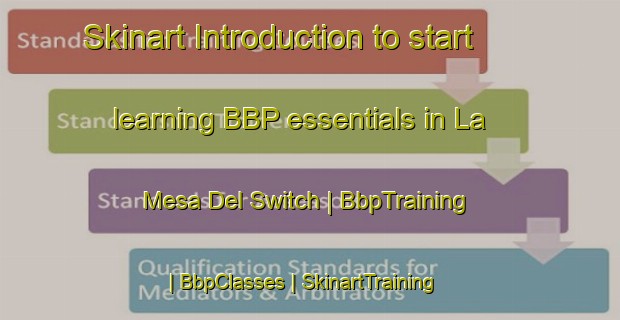 Skinart Introduction to start learning BBP essentials in La Mesa Del Switch | BbpTraining | BbpClasses | SkinartTraining-Mexico